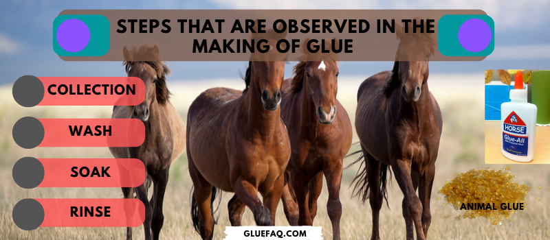 Is Glue made from Horses